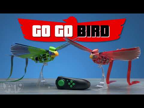 Video for Go Go Bird