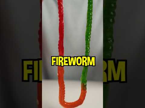 Let's Play Spicy Segments!