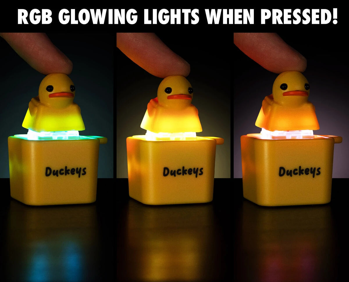 Quackeys light up when pressed.