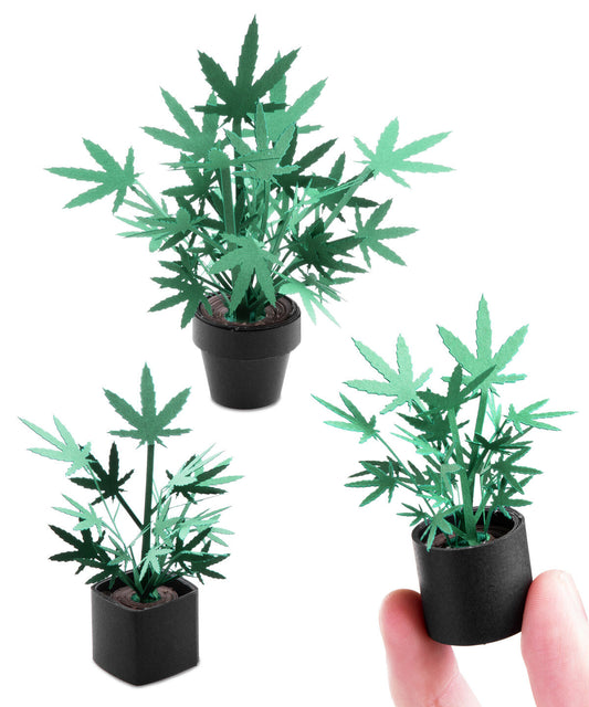 Roll Your Own Weed Plants Kit beauty shot