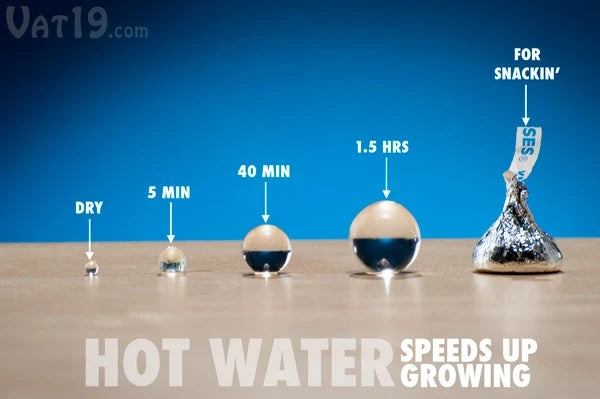 Use hot water to quicken the growth of your Spitballs.