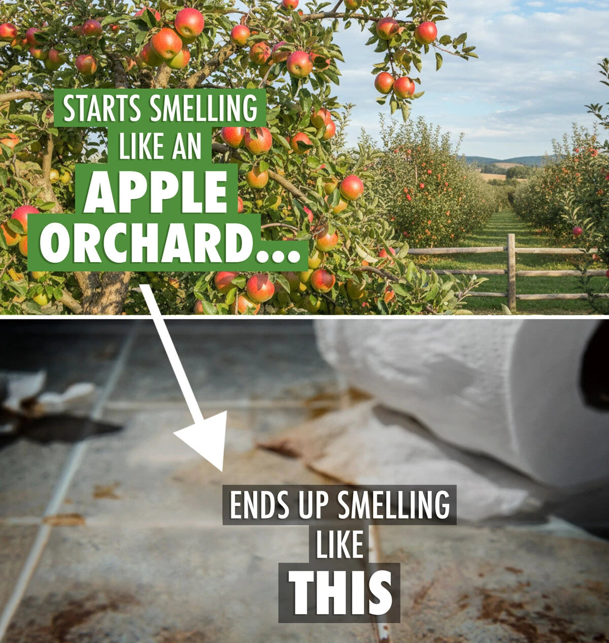 More like a “poopy” trap.