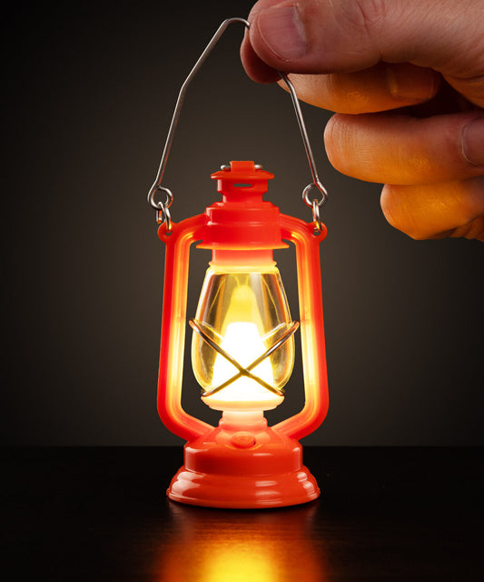 The Little Lantern beauty shot