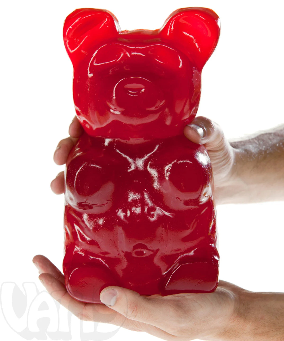 The Giant 5-Pound Gummy Bear beauty shot