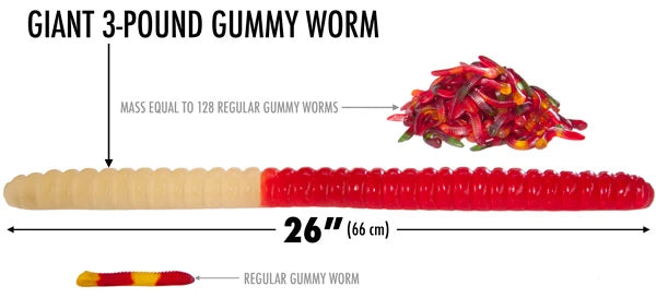 A regular gummy worm is approximately 128 times smaller than our Giant Gummy Worm.