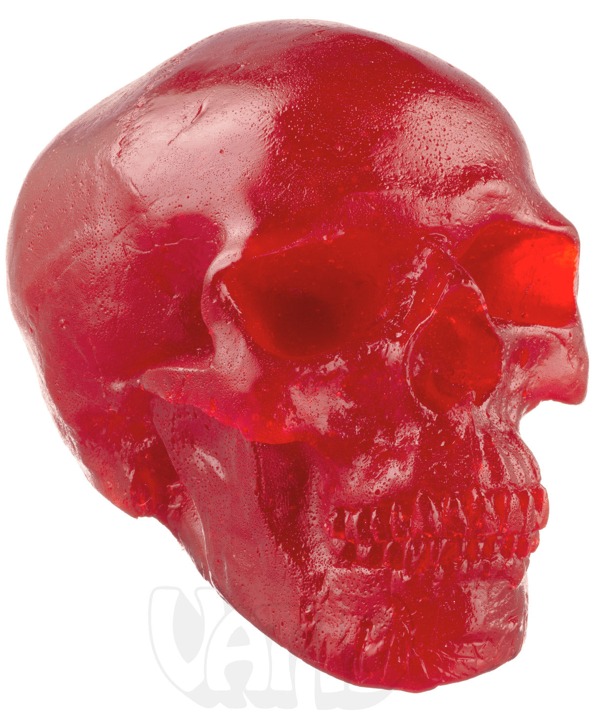 The 5-Pound Gummy Skull-Red Cherry beauty shot